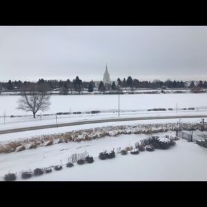 Meet your Posher, Genaro